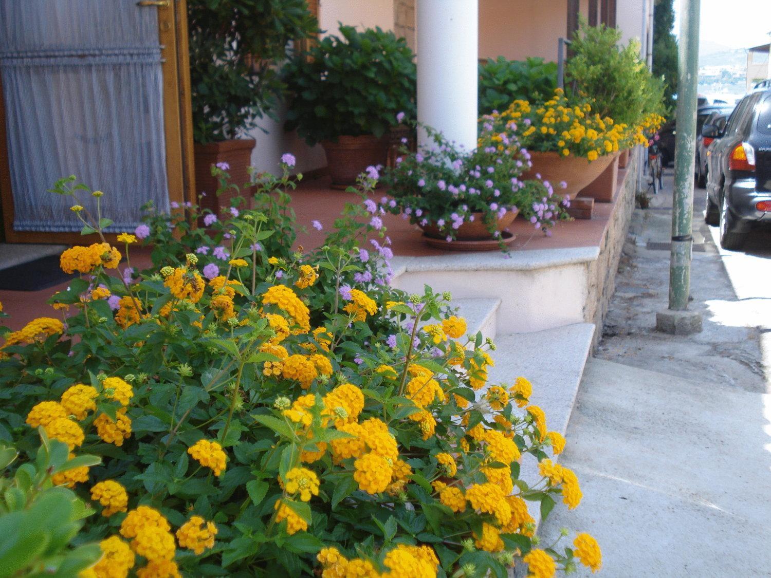גולפו אראנצ'י Hotel La Lampara מראה חיצוני תמונה